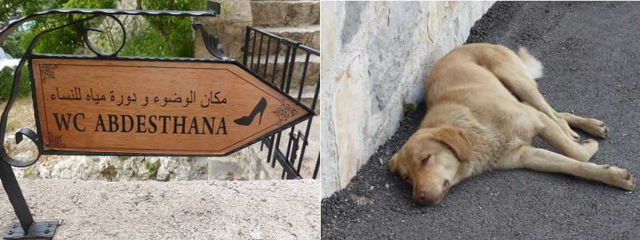 Blagaj_Tekija