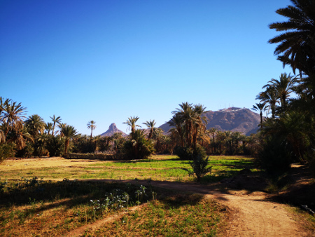 Zagora2019